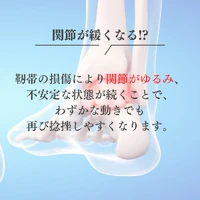 画像337