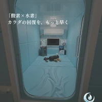 画像491