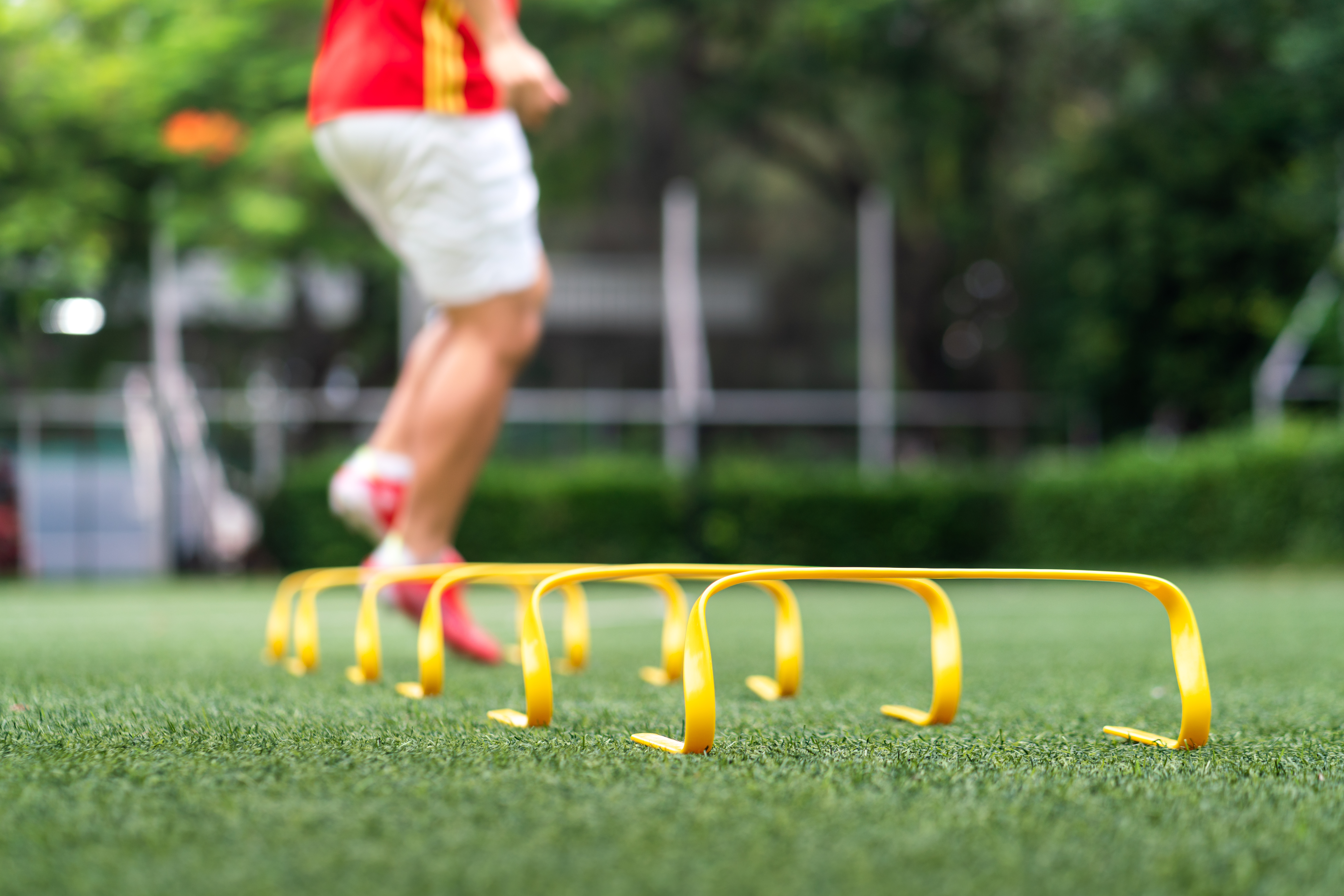 2. トレーニングの重要性
